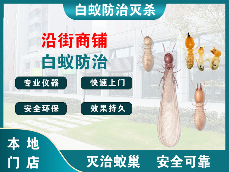 灌云沿街商铺白蚁防治