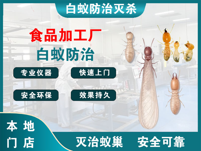 灌云食品加工厂白蚁防治