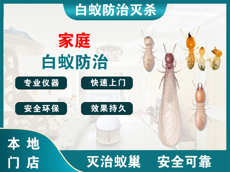 灌云家庭白蚁防治