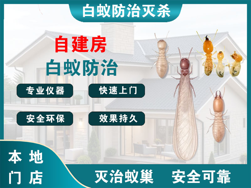 灌云自建房白蚁防治