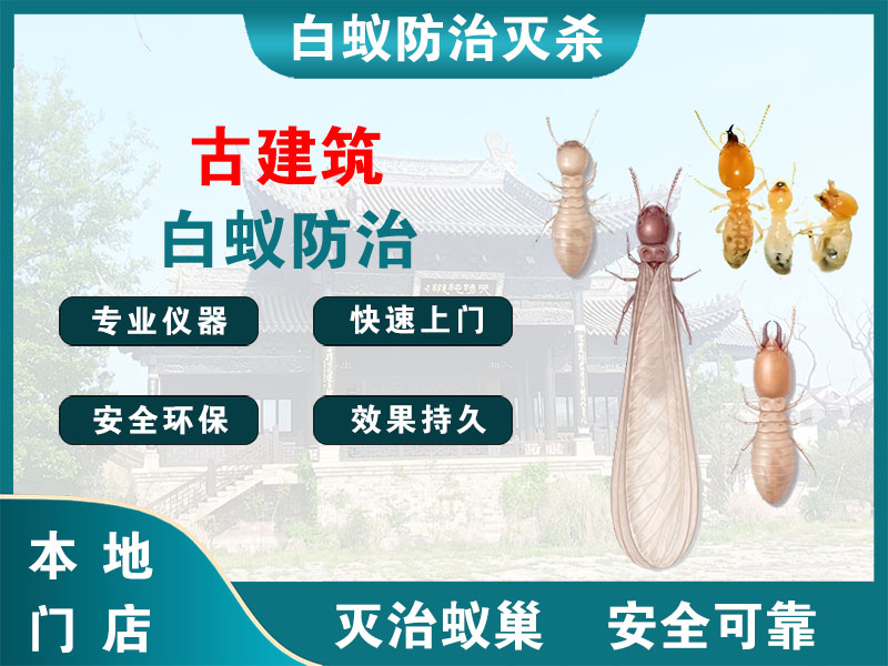 灌云古建筑白蚁防治