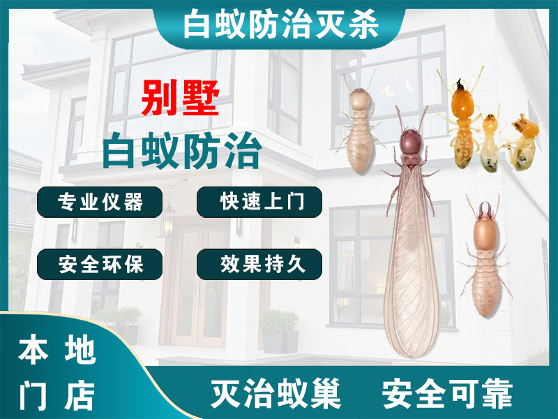 灌云别墅白蚁防治